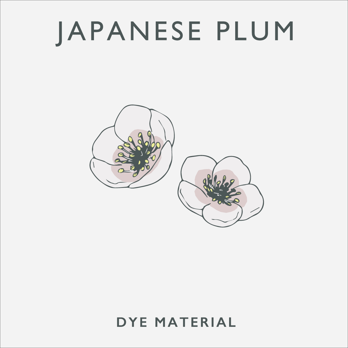 フードテキスタイル タートルネック