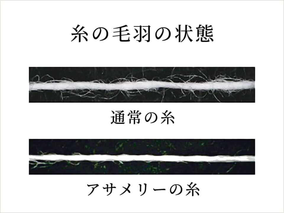 アサメリー(asamerry) ｜ ANGLE-アングルオンラインショップ