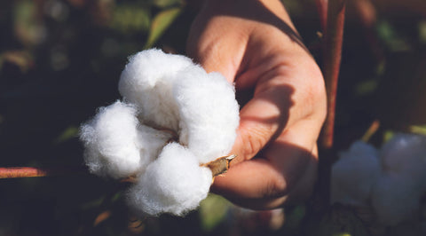 あかね様　71349 71350 71370 まとめ　アサメリー Mサイズ アサメリー(asamerry) ｜ ANGLE-アングルオンラインショップ